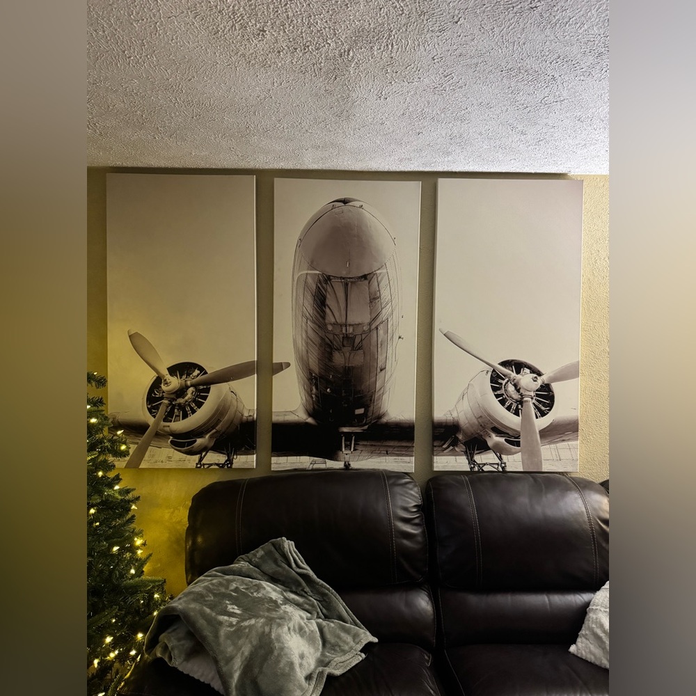 Vintage Airplane Triptych Wall Art in Black and White